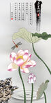 荷花图 