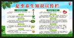 夏季健康教育宣传栏
