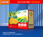 杨桃包装 水果礼盒