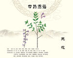 芫花