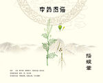 播娘蒿