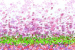 小碎花