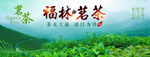 茶叶海报
