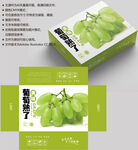 葡萄包装 水果盒子