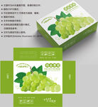 葡萄包装 水果盒子
