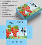 葡萄包装 水果盒子
