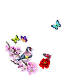 定位花