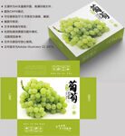 葡萄包装 水果盒子