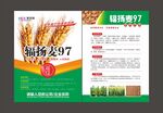 小麦单页