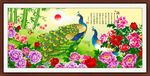 花开富贵 