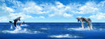 海洋贴画