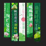 赏荷花