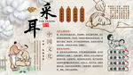 采耳背景墙