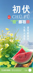 三伏天