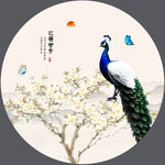 国画孔雀