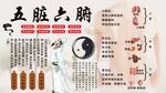 五脏六腑背景墙