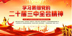 学习党的二十届三中会全精神展板