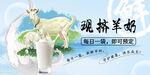 鲜羊奶海报