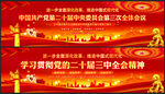 学习二十届三中全会精神