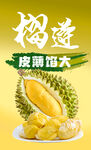 榴莲海报