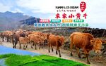 黄牛