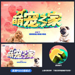 宠物