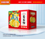 葡萄柚包装 柚子包装