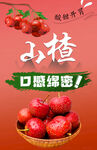 山楂