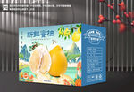蜜柚包装  柚子礼盒