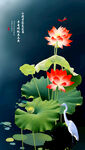 荷花国画荷花