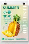 菠萝凤梨海报个性定制