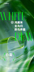 白露