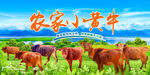 小黄牛
