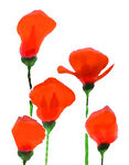 定位花