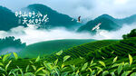 高山茶园