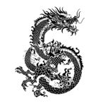 龙