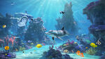 海底生物