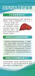 肝健康展架