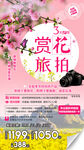 桂林赏花旅游手机海报