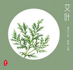 艾叶手绘图 艾草图案