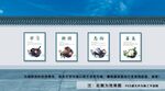 校园文化