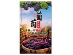 葡萄丰收海报