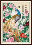 国画孔雀