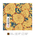 金丝皇菊 插画