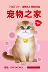 宠物