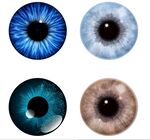 眼球瞳孔