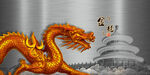 龙金龙飞龙