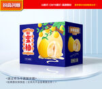 柚子包装 蜜柚礼盒