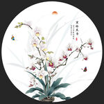 兰花
