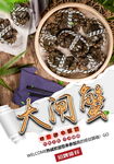 大闸蟹